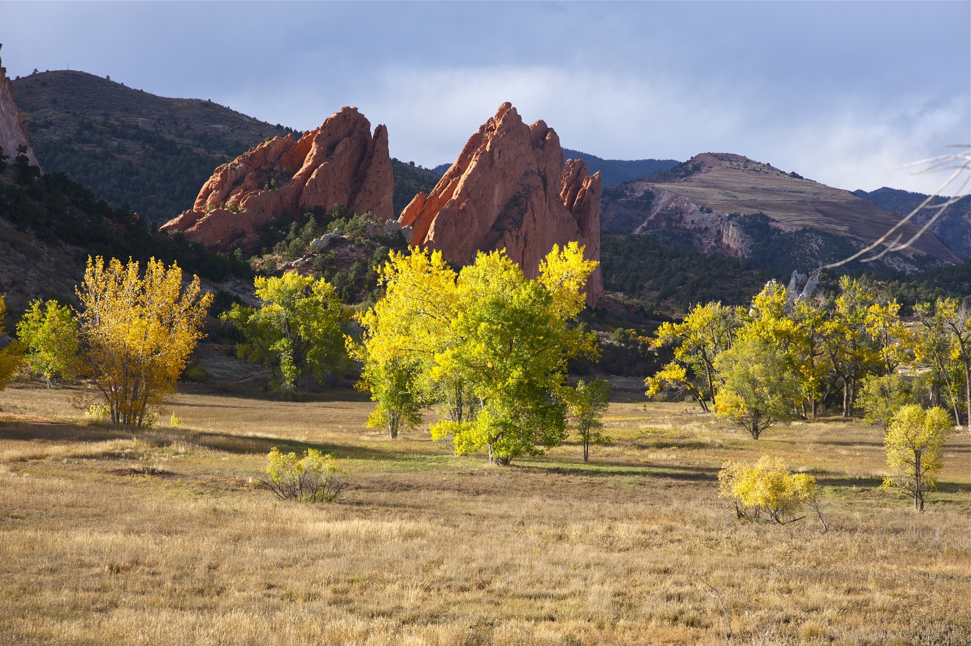 Colorado Springs CO